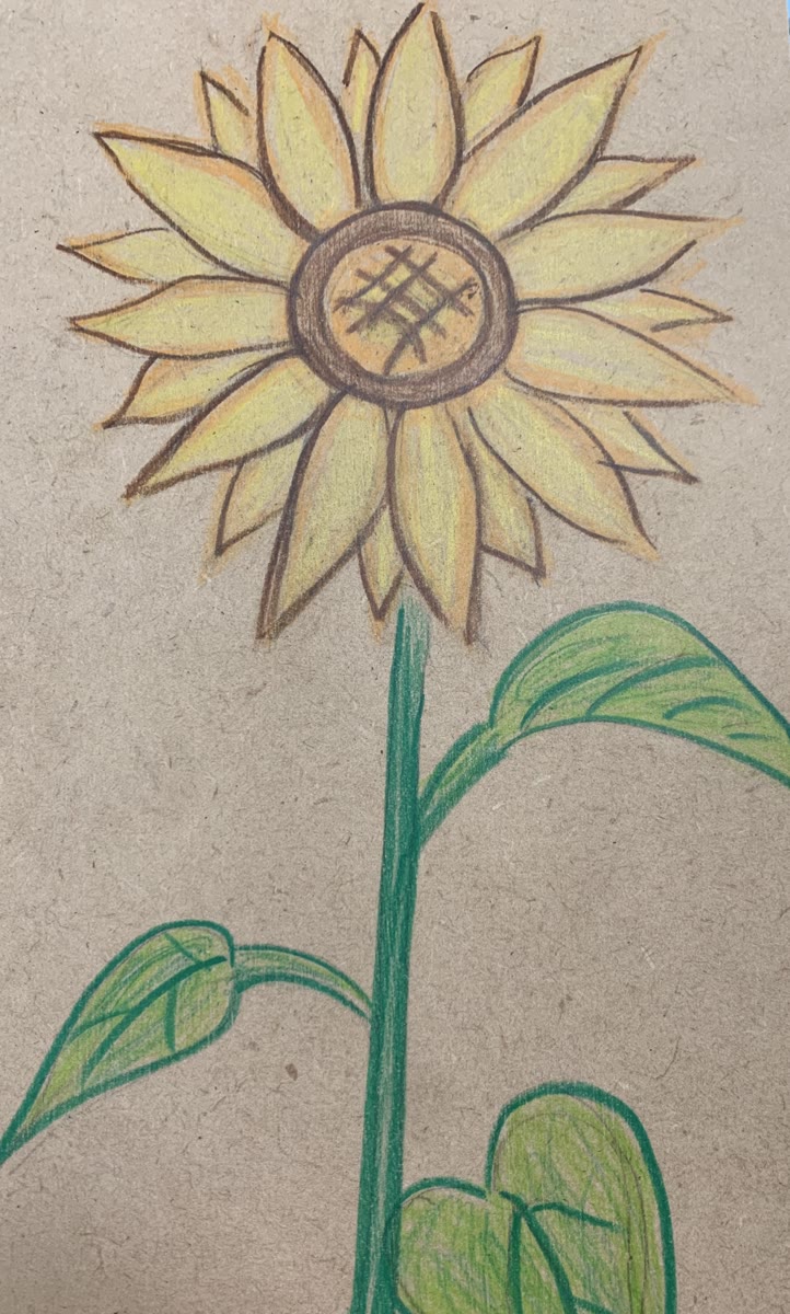 市川町に咲くひまわり（手描き）